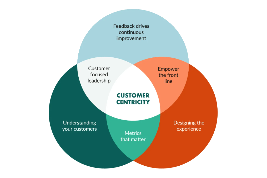 173433639052279602 (2)