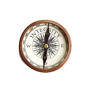 173433639052279602 (5)